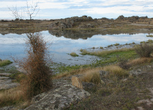 Lake with kowhai in foreground. Photo: John Barkla.