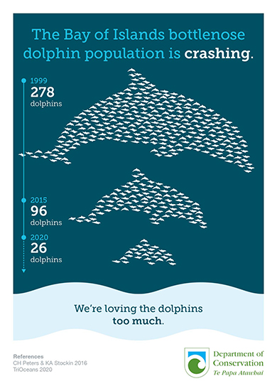 The Bay of Islands bottlenose dolphin population is crashing. In 1999 there were 278 dolphins, 2015, 96 dolphins, and in in 2020 just 26 dolphins.