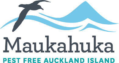 Logo for Maukahuka pest free auckland island. A silhouette of a seagull flies above silhouettes of waves.
