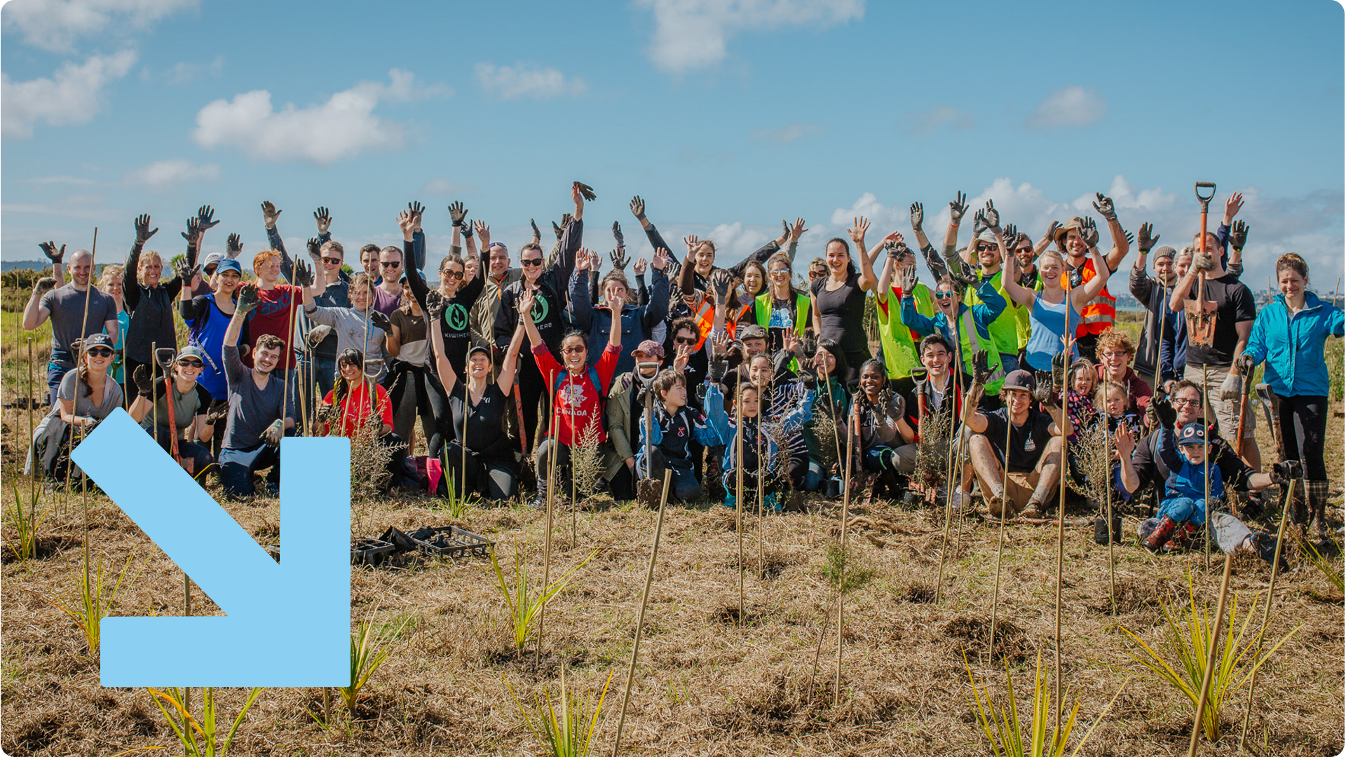  Large volunteer group after planting, Te Atatu.
