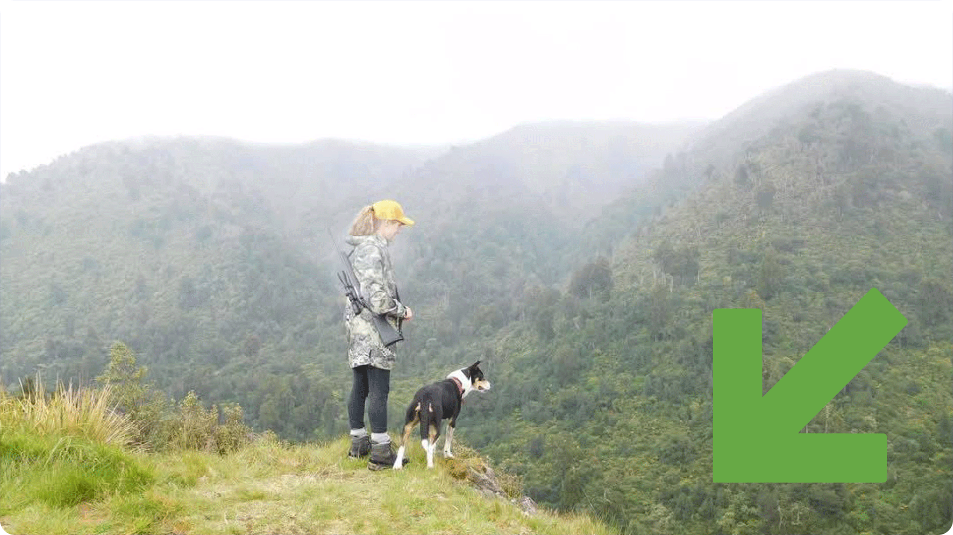 Person with a rifle stands on a misty hilltop with their dog.