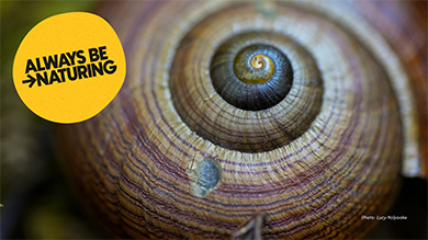 Always Be Naturing video call background