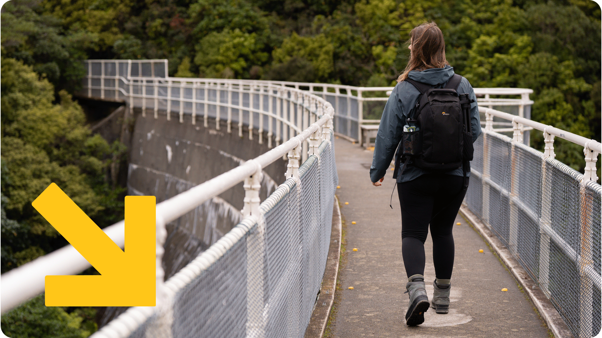 Visitor with backpack walking at Zealandia.