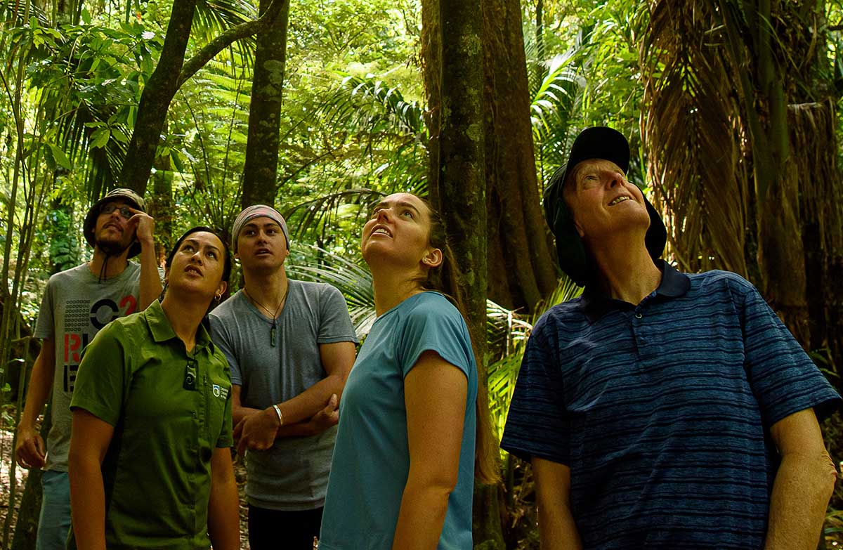 A group of people in the bush look up in wonder.