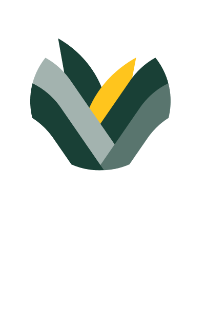An icon based on woven harakeke stems. It represents DOC's value 'Connect'.