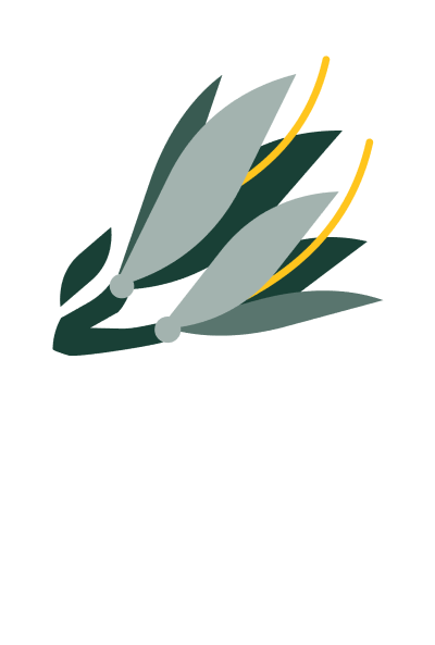 An icon based on the flower of the harakeke plant. It represents DOC's value 'Empower'.