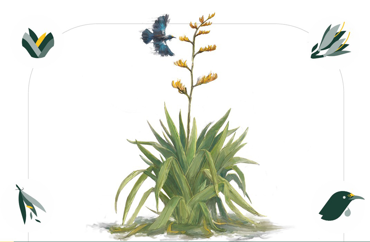 Illustration of a harakeke plant in flower with a tui swooping in for nectar. Icons representing DOC's values sit at each corner.