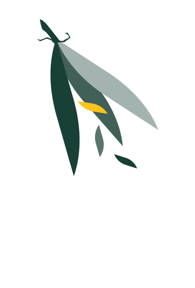 An icon based on the seedpod of the harakeke plant. It represents DOC's value 'Integrity'.