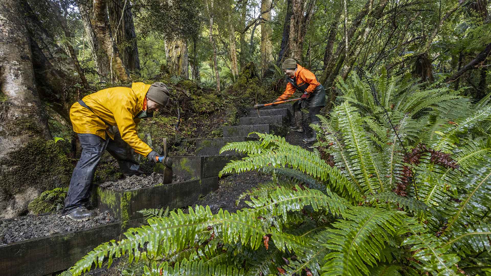 Two people maintain a set of steps in a heavily-forested area.