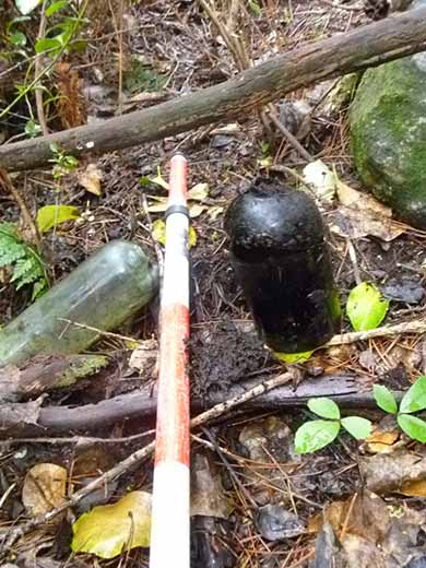 A group of old bottles amongst some rocks in a forest.