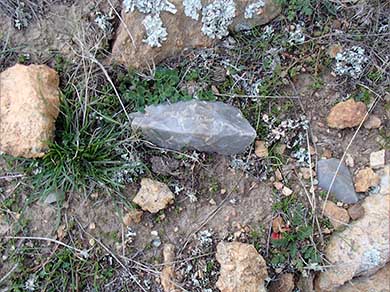 A small light grey sharp rock sticking out of the ground.