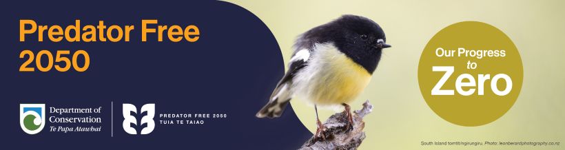 Predator Free 2050 banner with the image of a South Island tomit/ngirungiru
