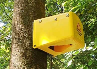 A yellow plastic box with a hold in the bottom of it attached to a thing tree.