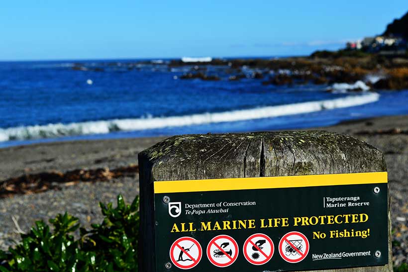 A beach scene with a sign in the foreground warning that all marine life is protected.