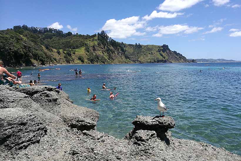People swimming in a bay as seen from a cliff.