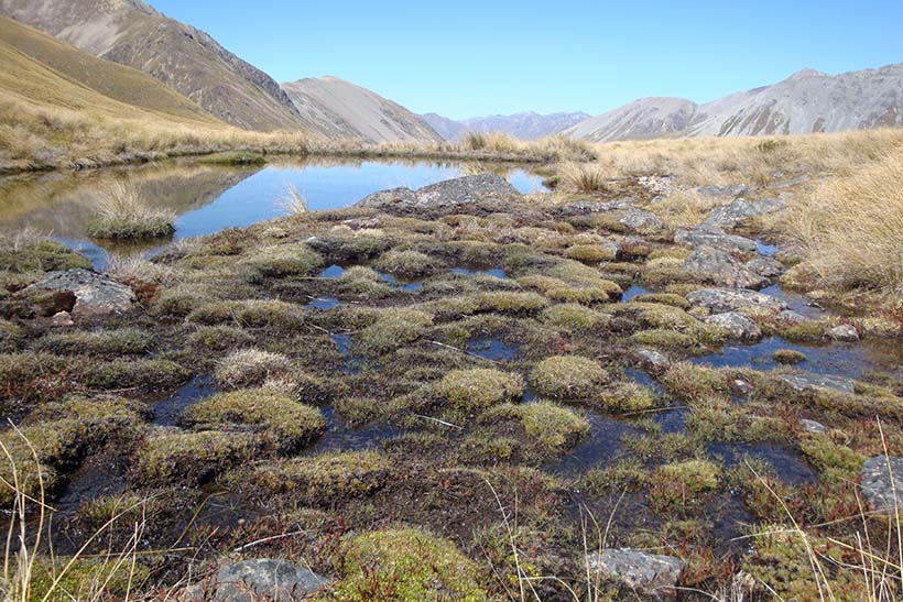 An alpine pond surrounded by mountains.
