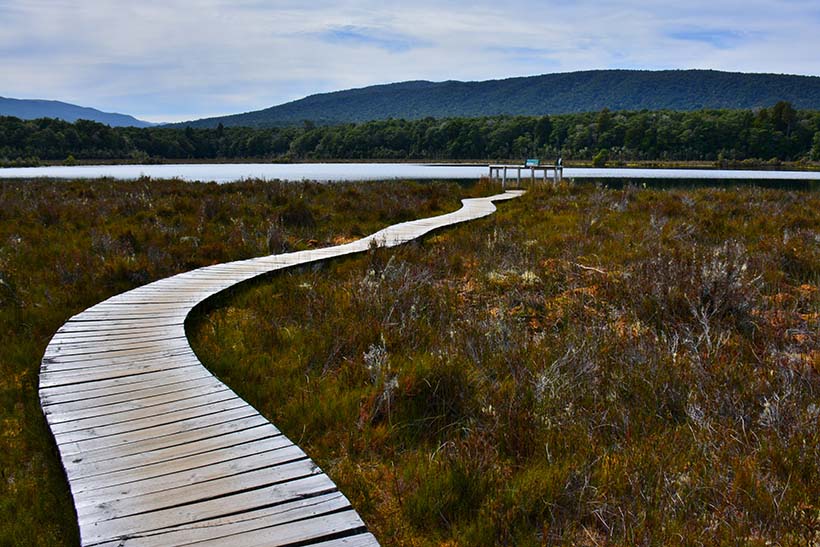 A boardwalk in a wetland.