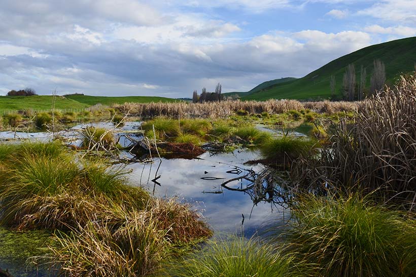A small pond ringed by green hills.