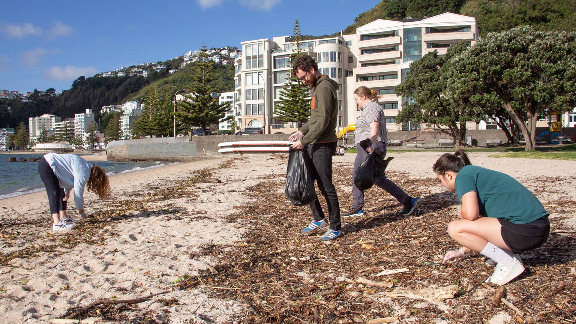 Volunteers scour an urban beach for rubbish to pick up.