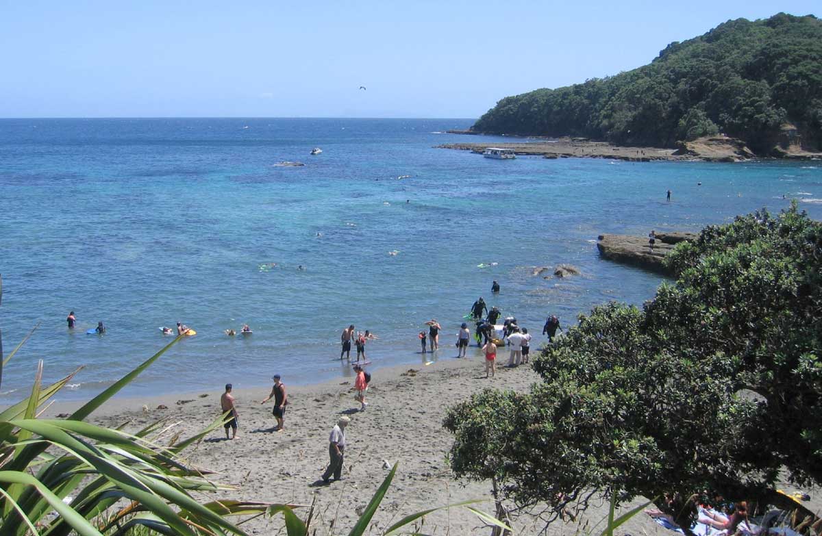 Cape RodneyOkakari Point Marine Reserve (Goat Island or Leigh) Places