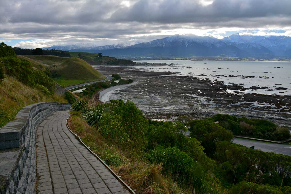 Kaikōura Peninsula Walkway South Marlborough Tracks And Walks