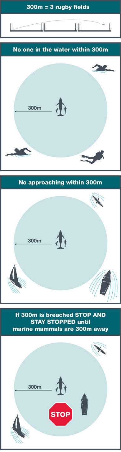 Infographcs depicting the restrictions