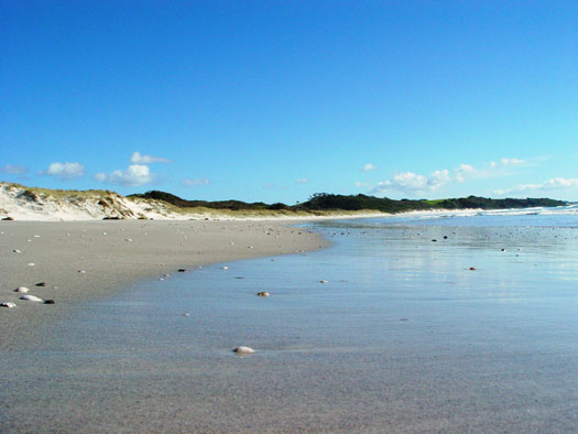 Image result for rarawa beach