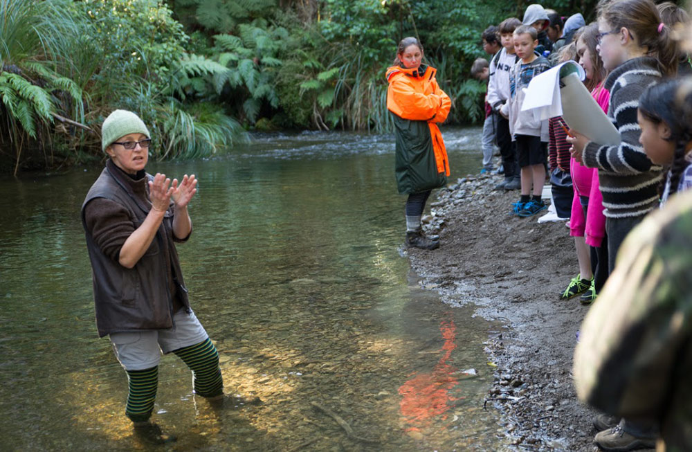 Wainuiomata Primary School explore their backyard DOC Stories 11 June 2015