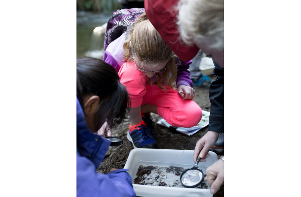 Wainuiomata Primary School explore their backyard DOC Stories 11 June 2015