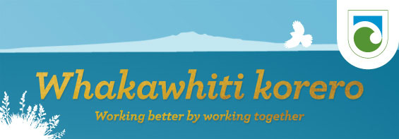 Whakawhiti korero, working better by working together. 