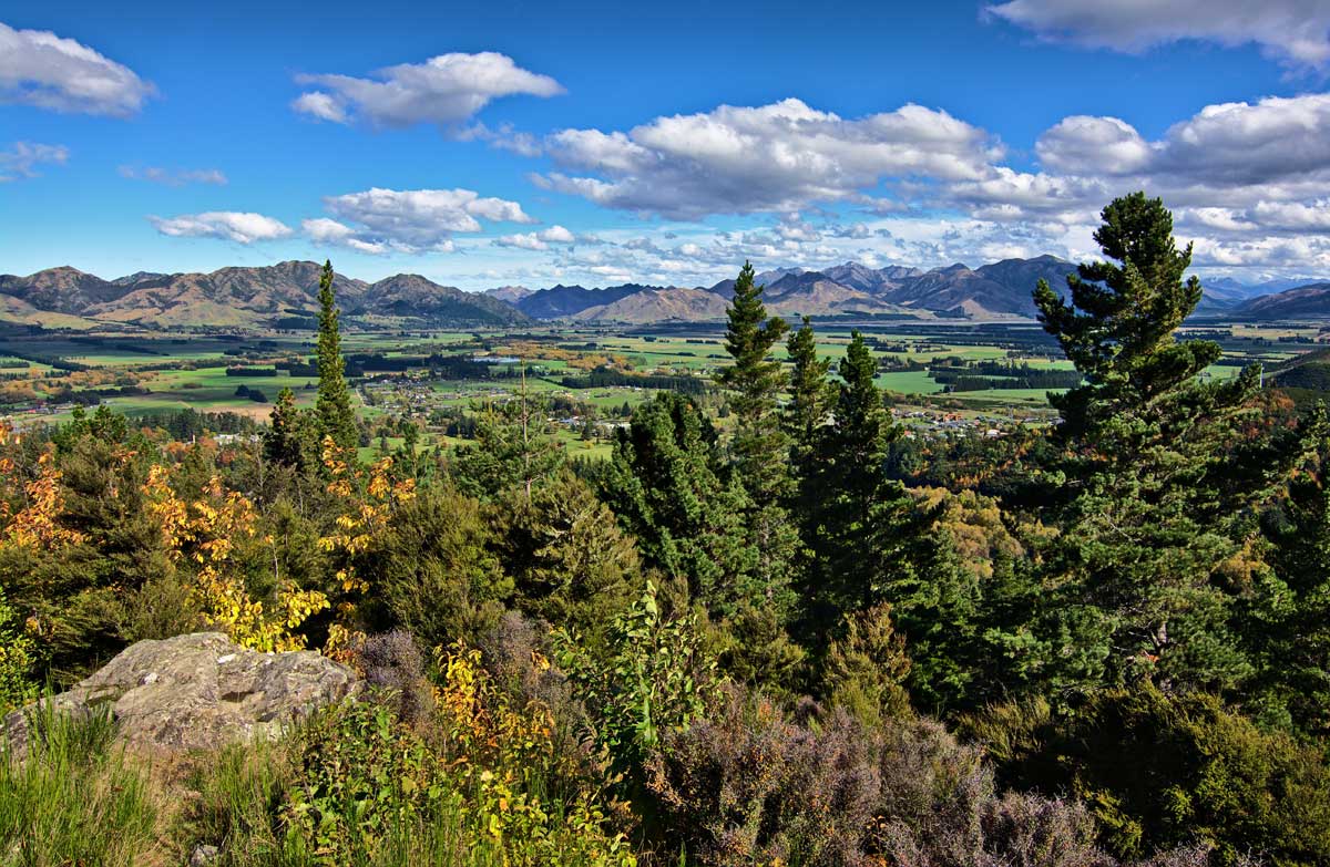 Hanmer Forest Park short walks Walking and tramping in Hanmer Forest