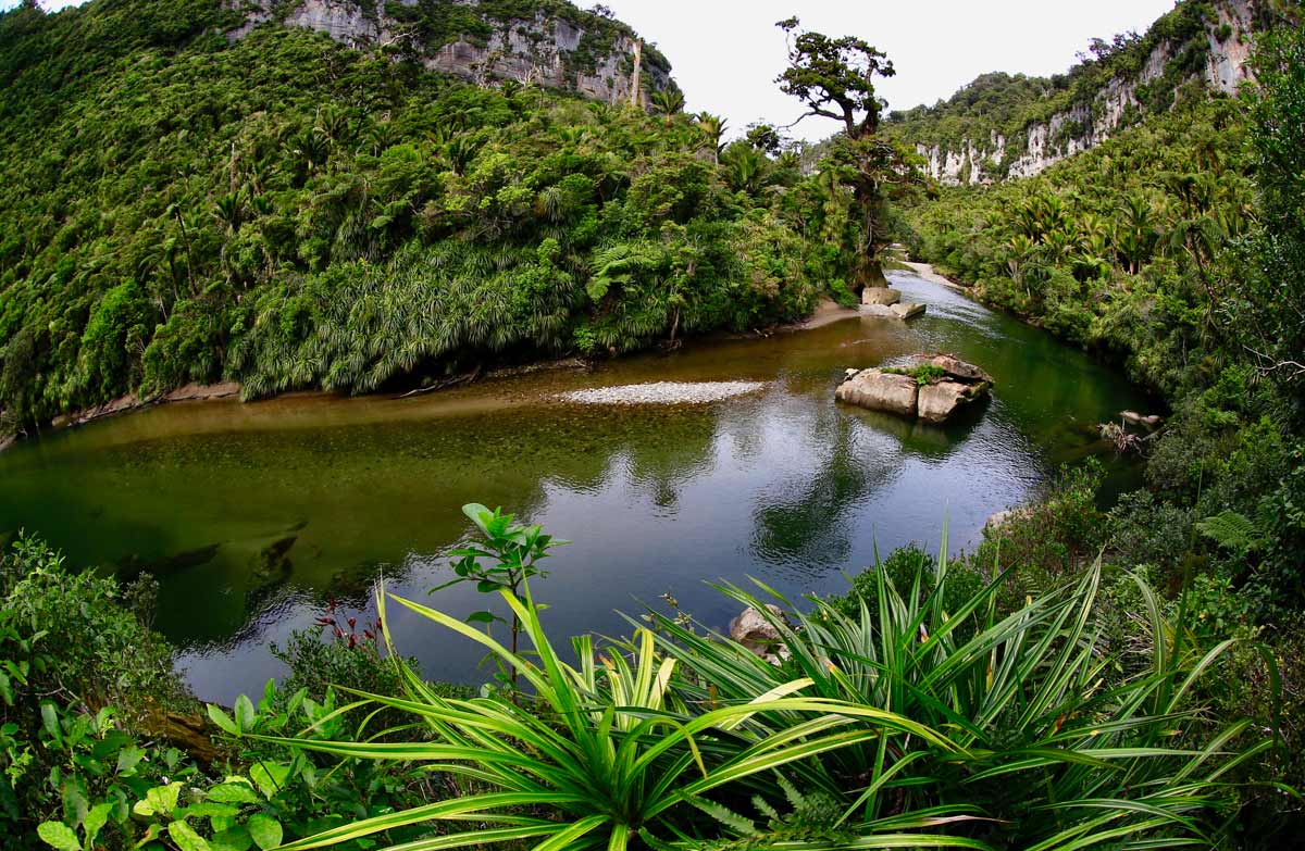 Paparoa National Park Management Plan – court proceeding
