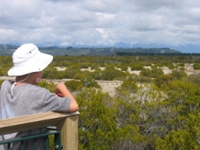 Wilderness Lookout Walk