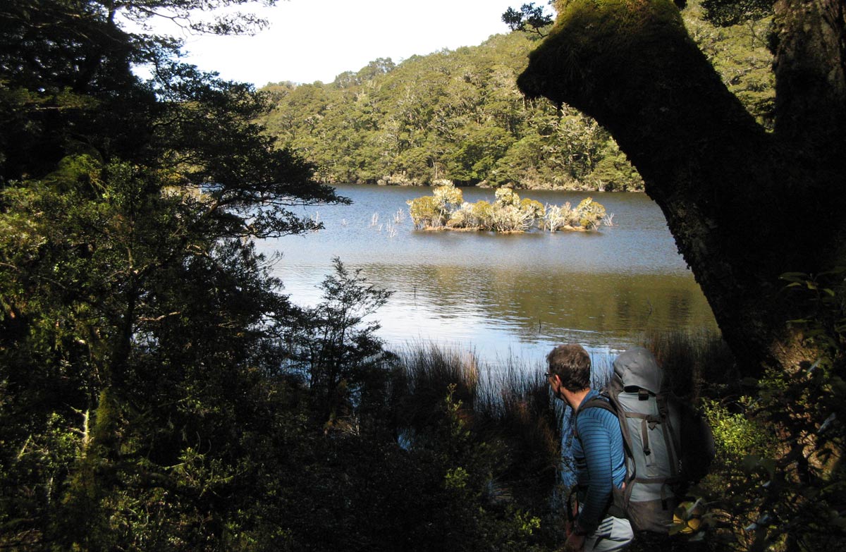 Manuoha to Waikareiti Track