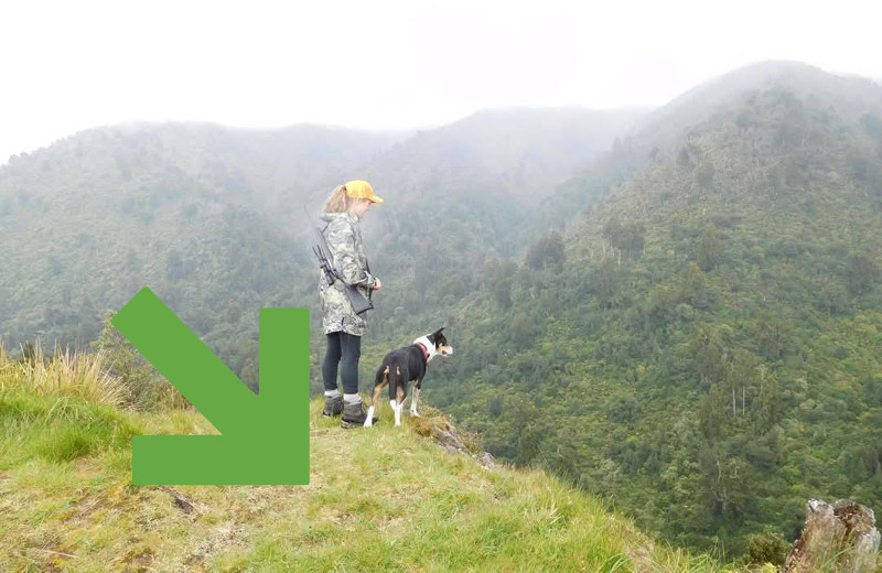 Hunt to help nature