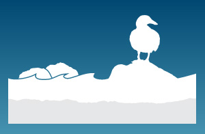 Explore your local stream: Teaching resources
