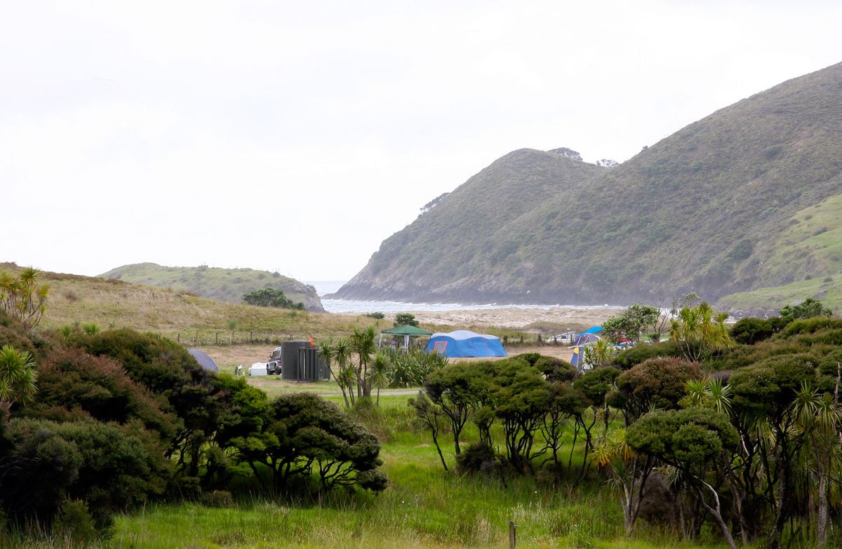 Rules for hunting on public conservation land