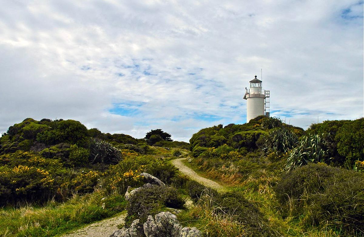 Cape Foulwind Walkway Cape Foulwind area, West Coast region