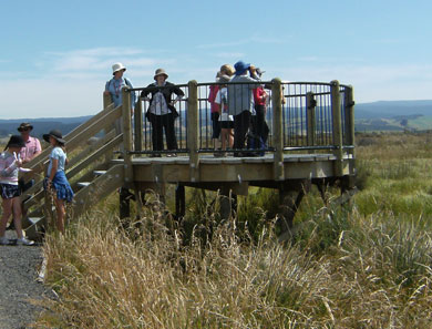 Titri Creek Track observation platform. 