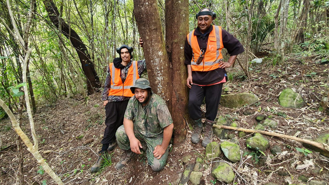 Jobs for Nature projects target iconic ecosystems Media release 21