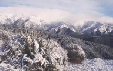 Lotkow Road to Little's Clearing