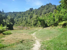 Mangapapa Campsite
