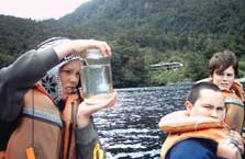 Taipari Roa (Elizabeth Island) Fiordland marine reserves