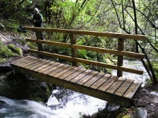 Stockyard Cove Track