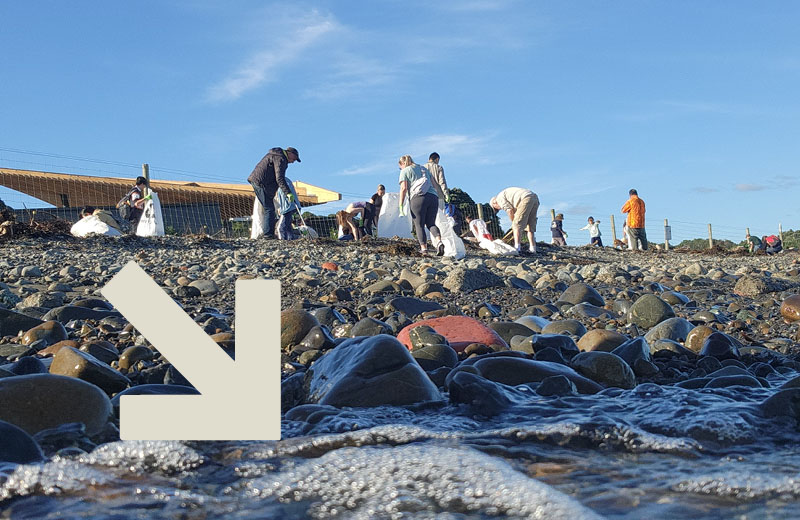 Join the clean up