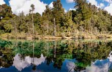 Lake Kaitawa Fairy Springs Track