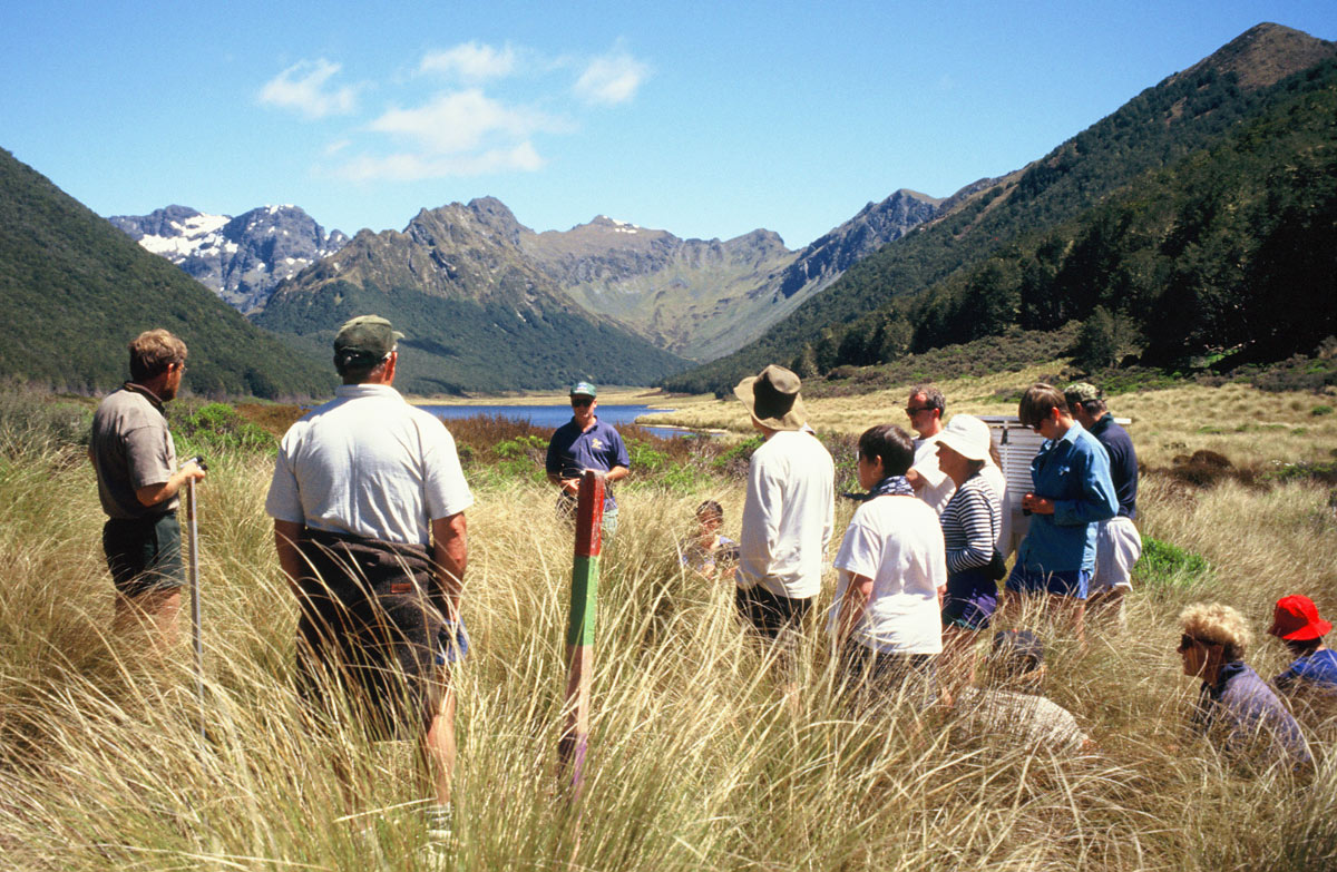 Have your say Get involved