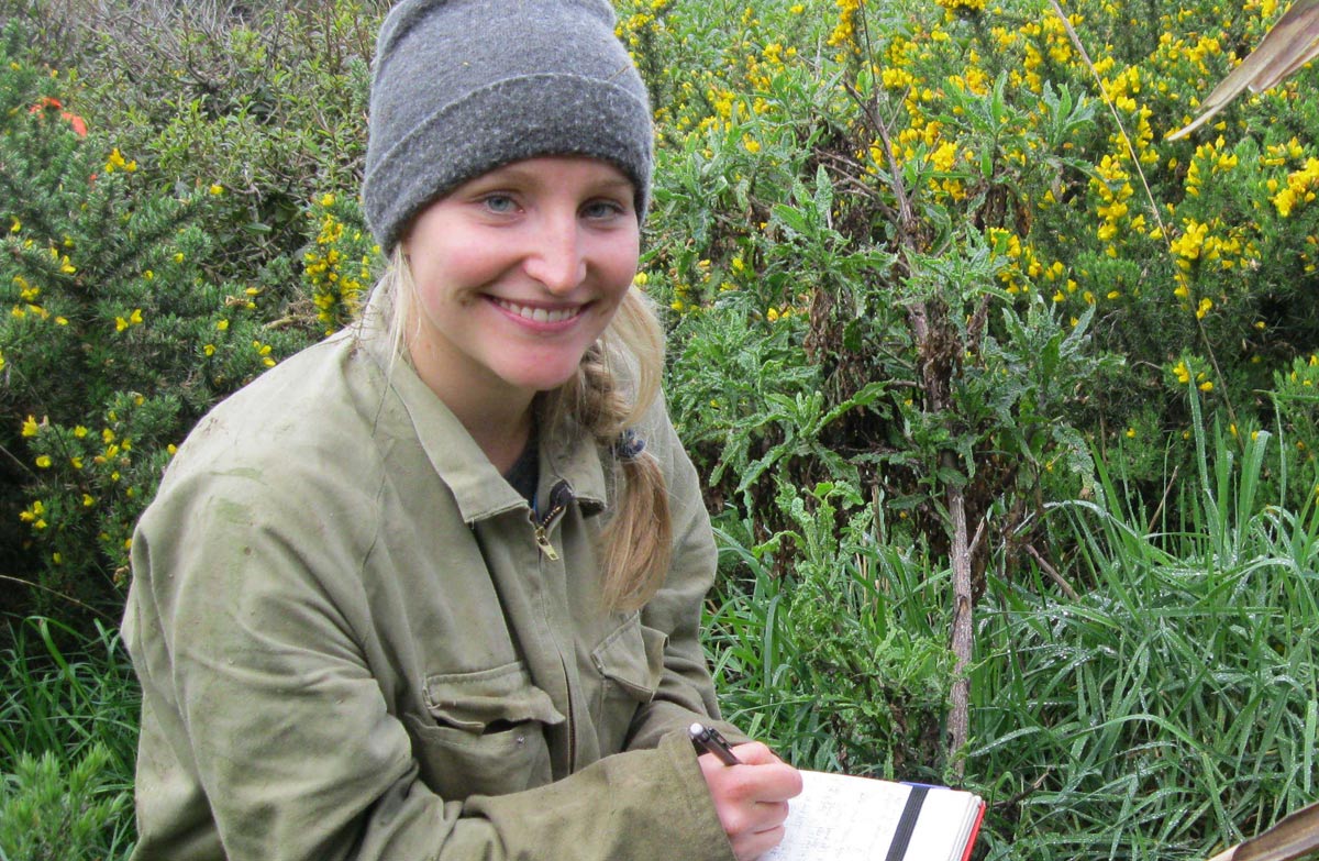 Field based coursework 03 image