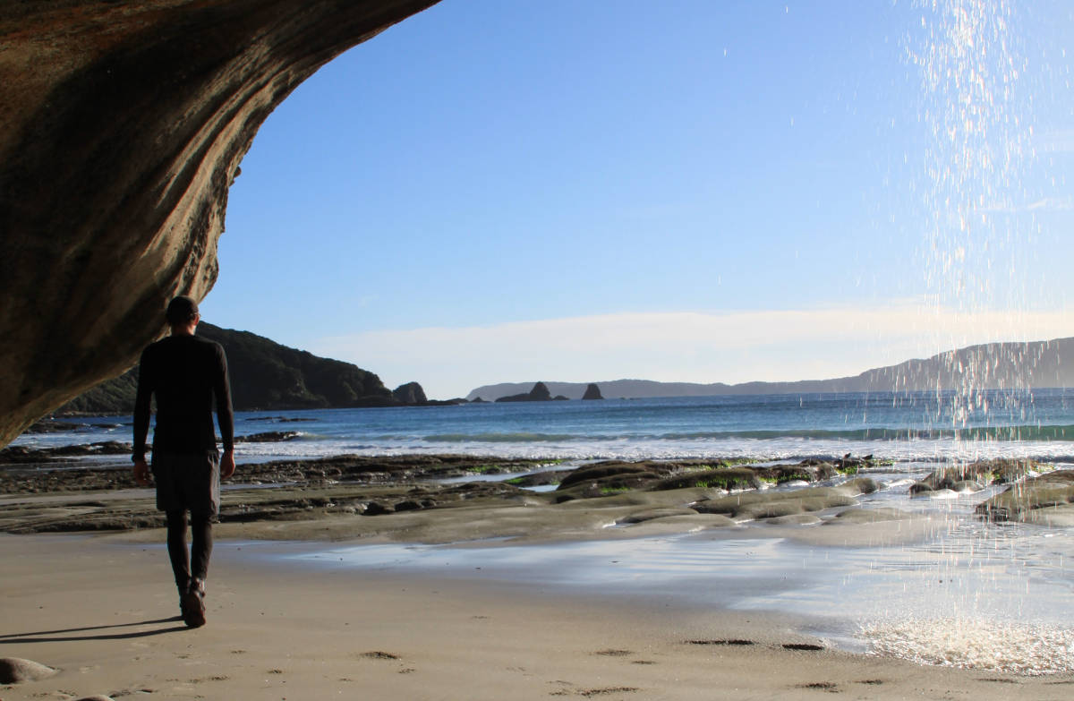 Chalky Island conservation Our work