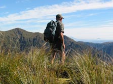 Mangleton Road to Parks Peak Ridge